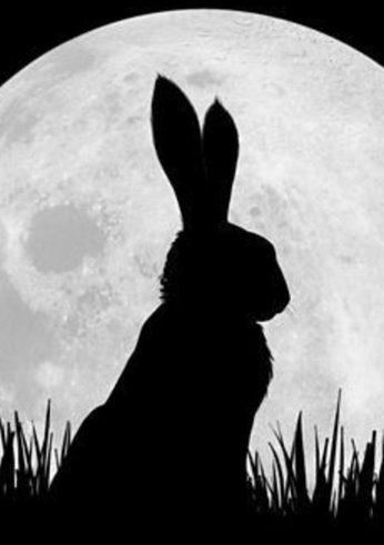 Watership Down