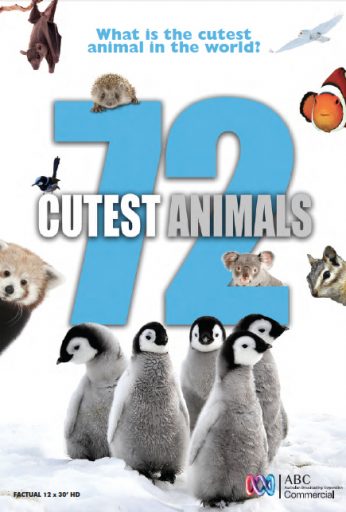 72 Cutest Animals