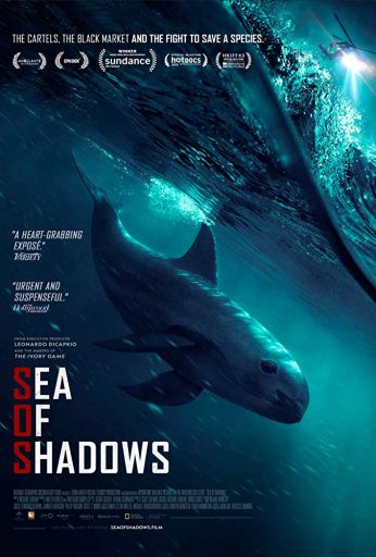 Sea of Shadows