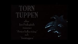 Torntuppen